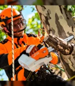 Motosserra STIHL MSA 161 T a Bateria – 30 cm / 12" - Imagem 3