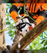 Motosserra STIHL MSA 161 T a Bateria – 30 cm / 12" - Imagem 4